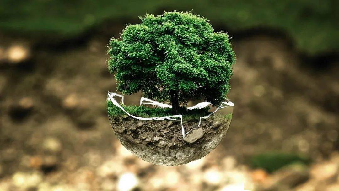 生物降解塑料降解技术及其前景展望!